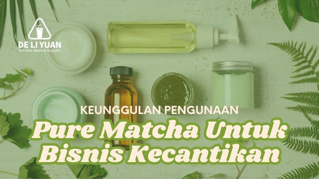 supplier pure matcha b2b