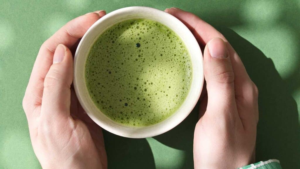 Supplier Matcha Enak