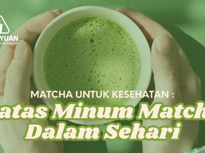 Batasan Minum Matcha Dalam Sehari minuman matcha enak