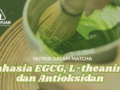 Bubuk Matcha Premium: Rahasia EGCG, L-theanine, dan Antioksidan bubuk matcha premium